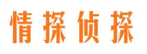 龙凤外遇出轨调查取证